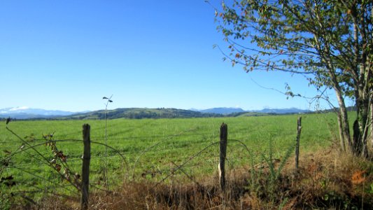 Chemin de compostelle