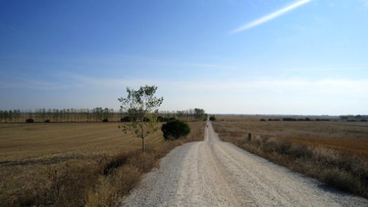 Chemin de compostelle