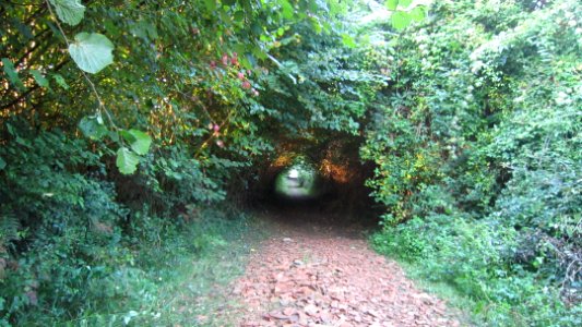 Chemin de compostelle