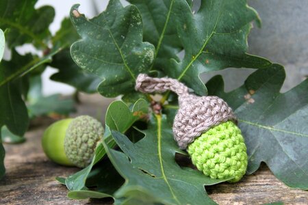 Crochet acorns leaves oak tree photo
