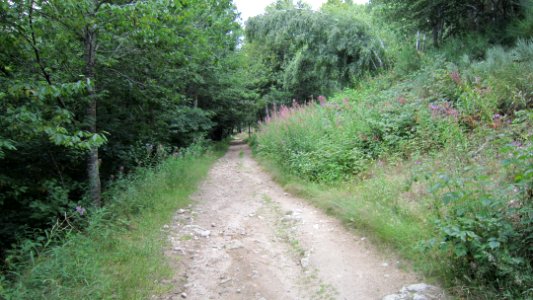 Chemin de compostelle