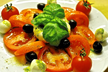 Basil tomato mozzarella starter