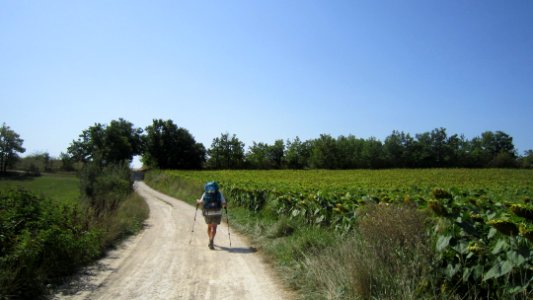 Chemin de compostelle