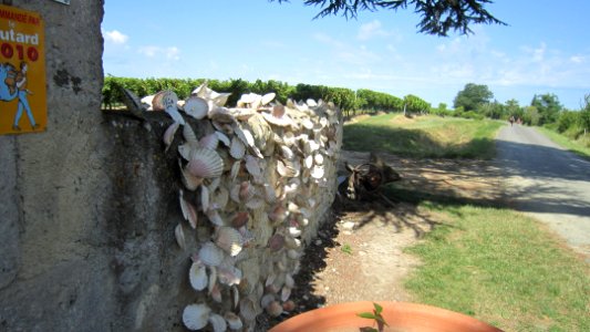 Chemin de compostelle