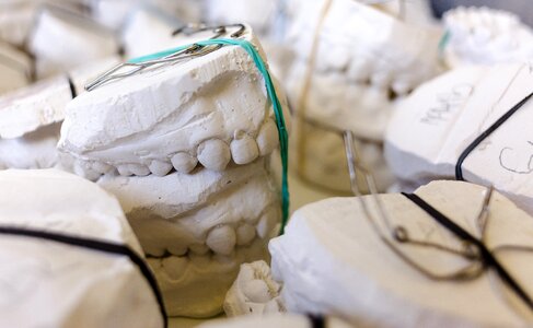 Dentist dental dentistry photo