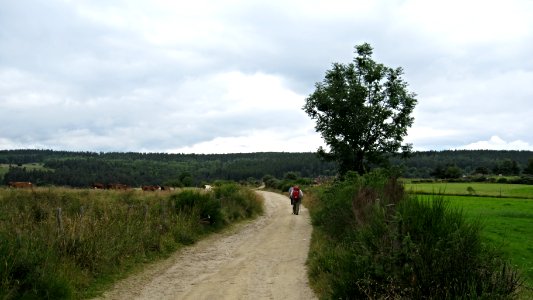 Chemin de compostelle