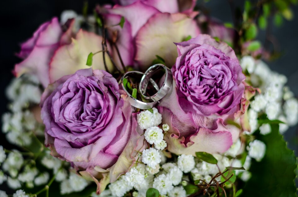 Wedding rings together roses