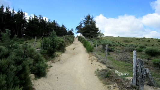 Chemin de compostelle