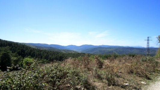 Chemin de compostelle