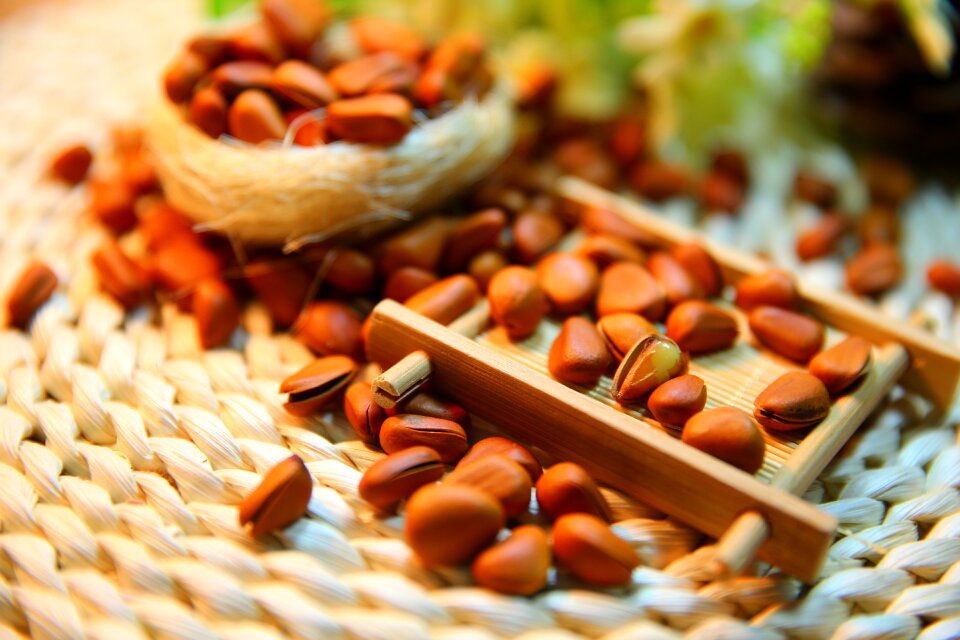 Pine nuts nut protein