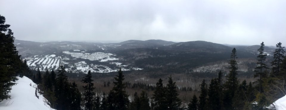 Panoramique