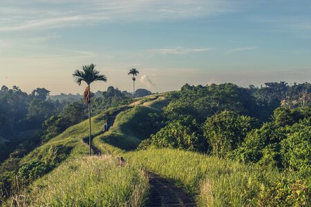 Ridge hills landscape