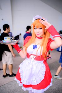 DSC 7800