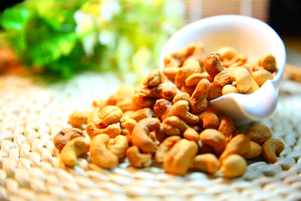 Cashew nut nut protein