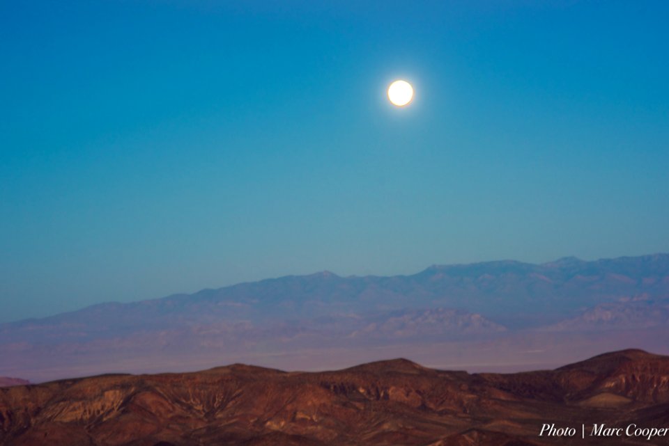 Early Moon 2 photo