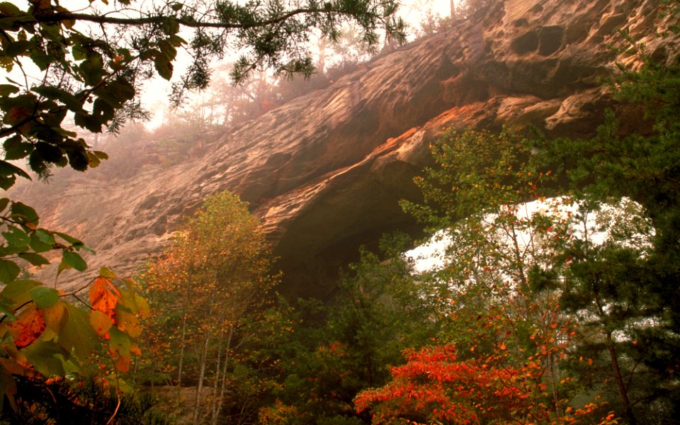 20021017-FS-DanielBoone-001