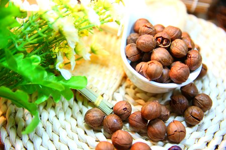 Pecan nut protein