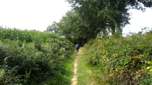 IMG 2654
