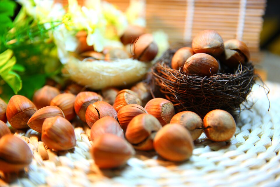 Hazelnut nut protein