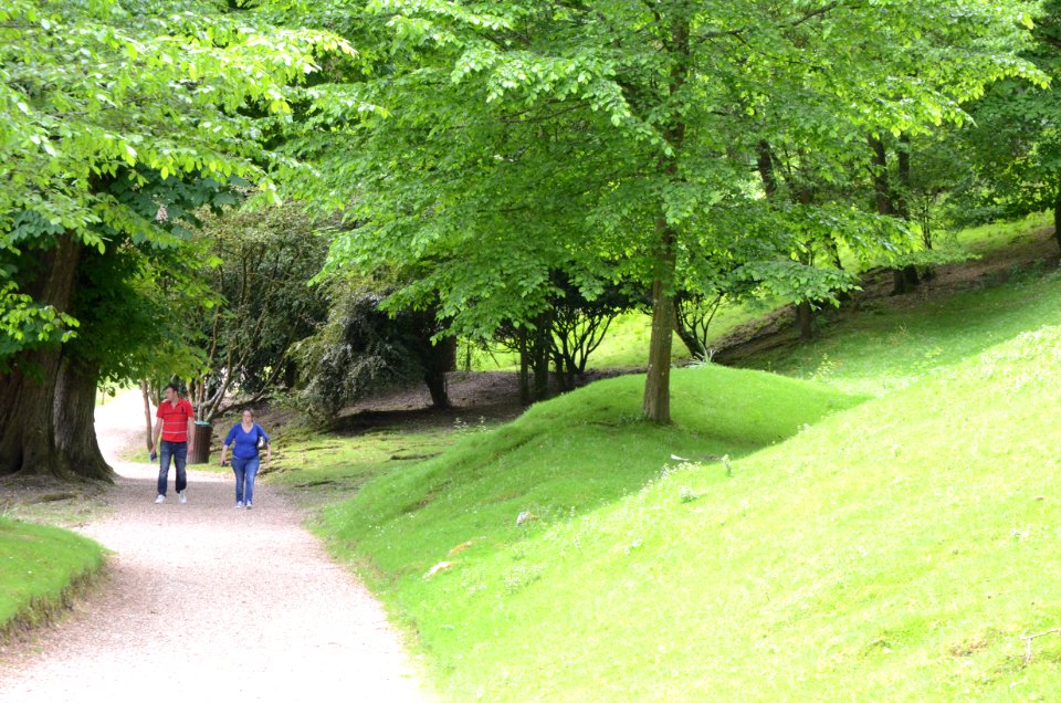 Zone humide parc de clères