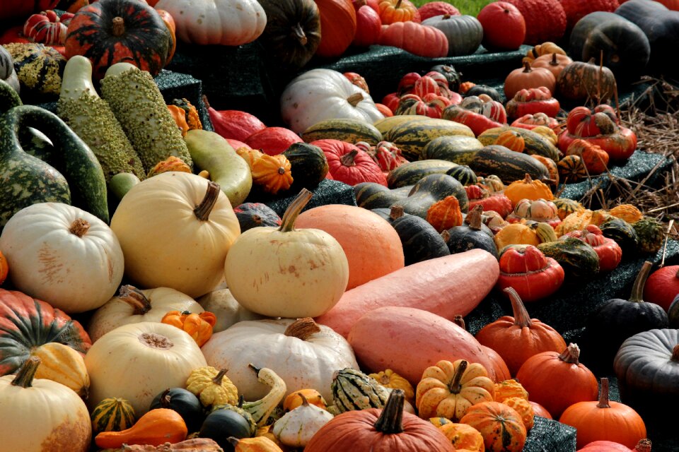 Autumn colorful decoration