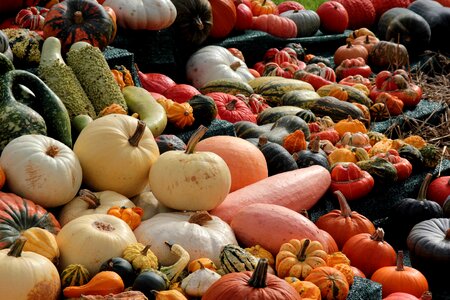 Autumn colorful decoration