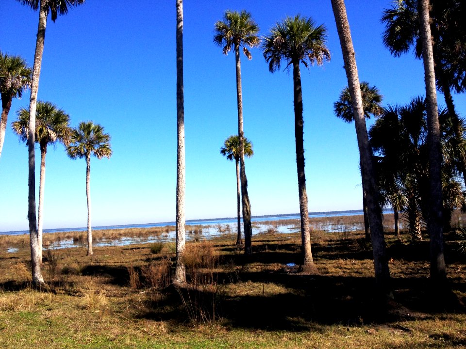 20141212-FS-Florida-CM-023