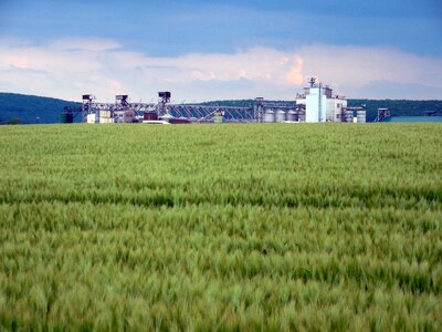 Agriculture industry cereals