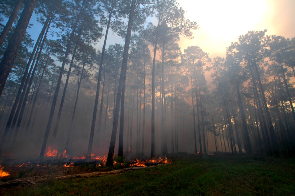 20111106-FS-Osceola-SB-022