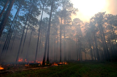 20111106-FS-Osceola-SB-022