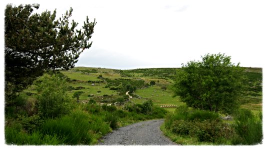 Chemin de compostelle