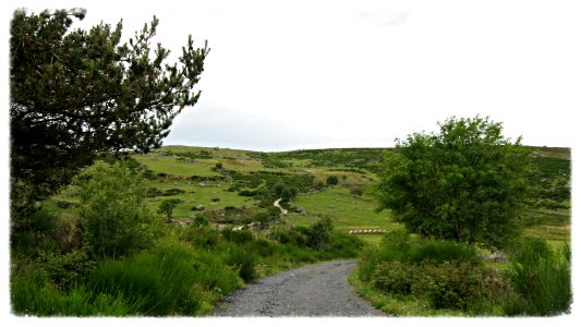 Chemin de compostelle photo