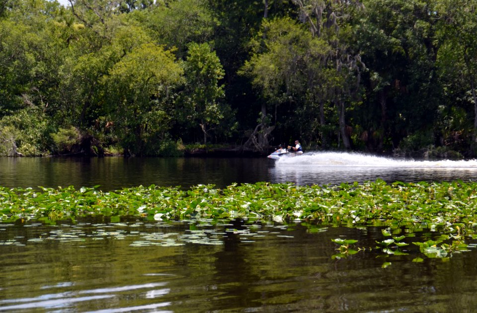20150617-FS-Ocala-SB-011
