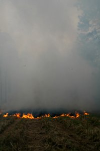 20111106-FS-Osceola-SB-031