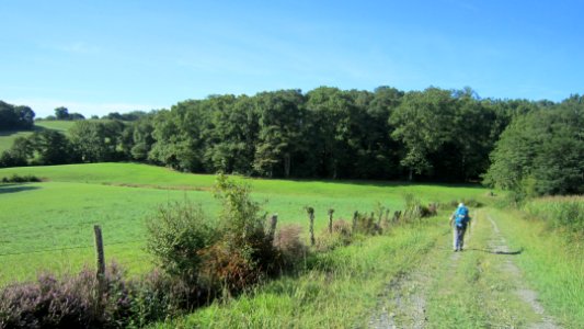 Chemin de compostelle