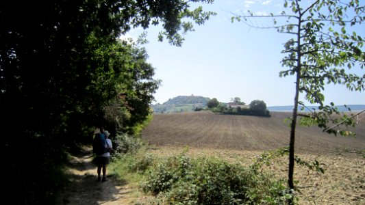 Chemin de compostelle