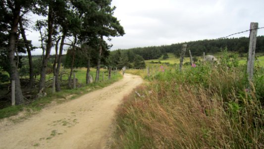 Chemin de compostelle