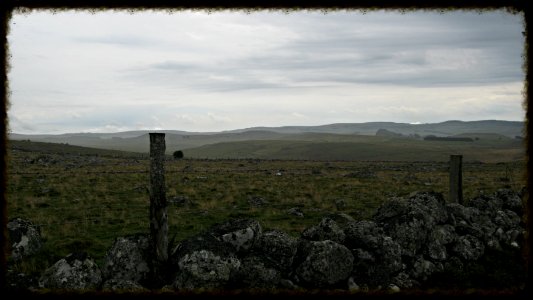 Chemin de compostelle photo