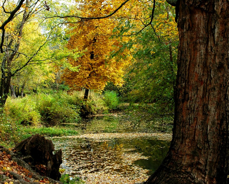 20131030-FS-LandBetweenTheLakes-DS-002
