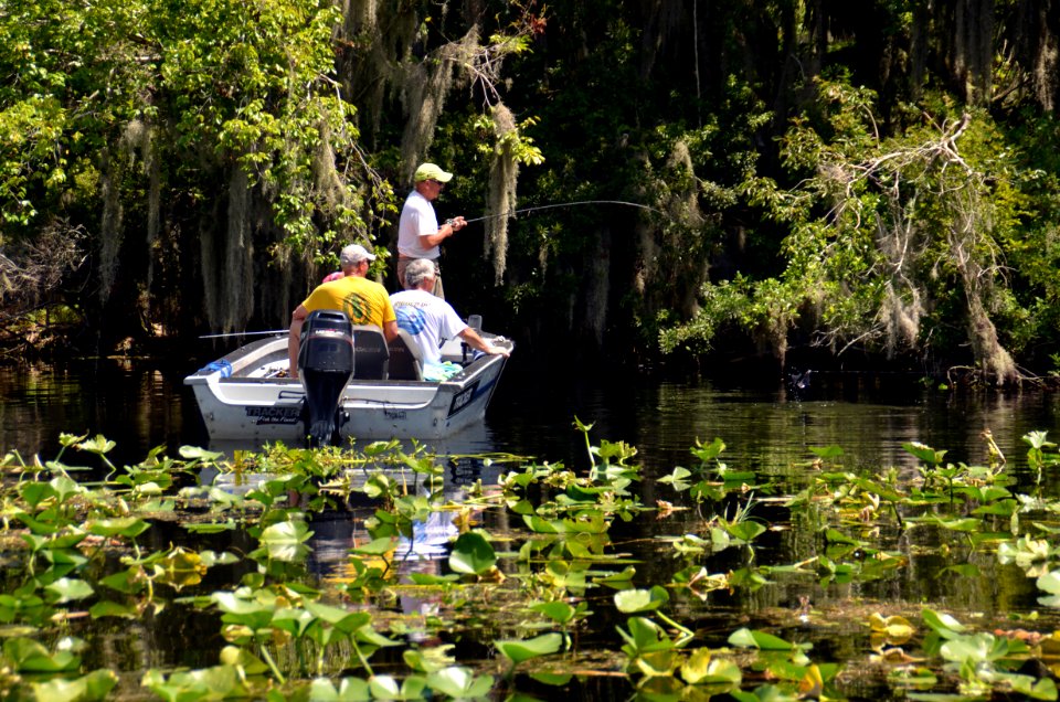 20150617-FS-Ocala-SB-004