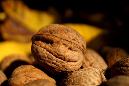 Stone food fruit