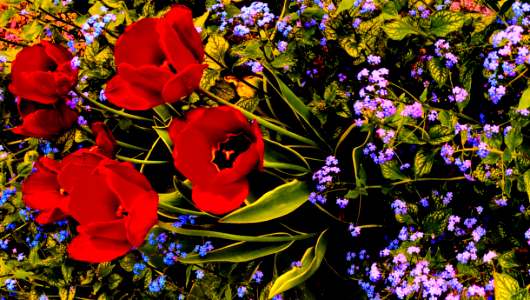 background, wallpaper, hintergrundbild (free)