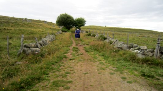 Chemin de compostelle