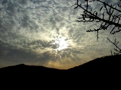 CAM06886