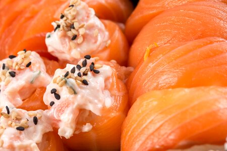 Salmon niguiri food photo