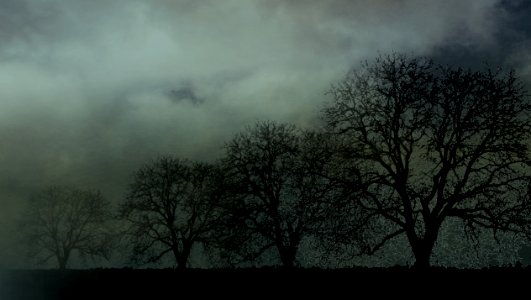 background, wallpaper, hintergrundbild (free)