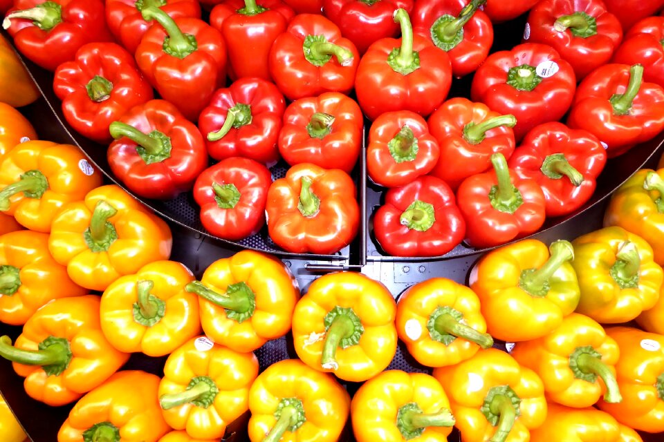 Colorful nutrition food