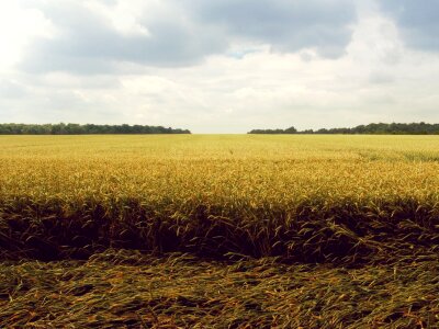 Fields farm country photo