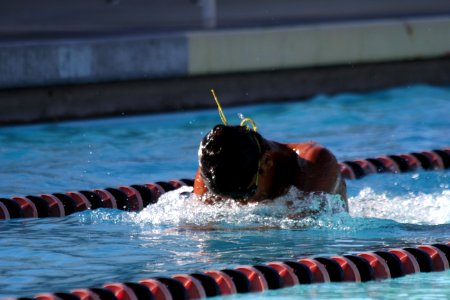 IMG 4309