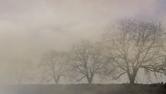 background, wallpaper, hintergrundbild (free)